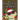 Fluffy's First Christmas