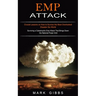 Emp Attack: Crucial Lessons on How to Survive the Most Overlooked Disaster the World (Surviving a Catastrophic Emp Attack That Brings Down the Nationa