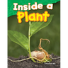 Inside a Plant