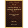 Life Long Musings Or Fragments Gathered By The Way: A Collection Of Poems (1899)
