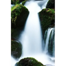 A Pretty Creek: Creeks, Streams and Waterways in General Are Known as Surface Hydrology and Are a Core Element of Environmental Geography.