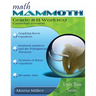 Math Mammoth Grade 8-B Worktext, Canadian Version