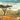 The Great Rift Valley Lakes: The Wildlife of Ethiopia In Amharic and English