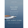Falling Awake: How to Practice Mindfulness in Everyday Life