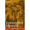 Insurgent Mexico