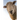 Sheep: Domestic Sheep Are Quadrupedal, Ruminant Mammals Typically Kept as Livestock. Like Most Ruminants, Sheep Are Members o