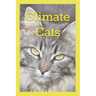 Climate Cats: A Kitten Adventure In The Bay of Fundy