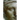 Rome's Vestal Virgins
