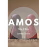 Amos: Day by Day