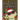 Fluffy's First Christmas