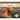 Vizslas