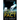 The Murder Pact