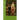 Twelfth Night