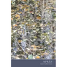 Après
