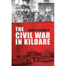 The Civil War in Kildare