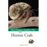 Hermit Crab: Your Happy Healthy Pet