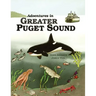 Adventures In Greater Puget Sound
