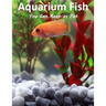 Aquarium Fish You Can Keep As Pets: A List Of Crazy, Exotic Fish To Keep As Pets