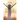 This time I will Praise the Lord