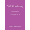 Still Wandering: Still Wondering (Wanderings Part 4)