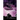 The Rose and the Shadows: Midnight Edition