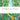 A Walk in the Woods: Enjoy colouring your own walk in the woods.