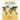 Africa 2024-2025