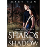 Flynn Nightsider and the Shards of Shadow