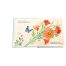 Little Book of Flowers