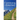 Continuing the Journey: A New Time