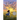 A Sky Full of Song