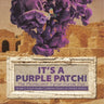 Its a Purple Patch!: Phoenicians Tyrian Purple Dye Grade 5 Social Studies Children's Books on Ancient History
