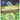 Unicellular and Multicellular Organisms Comparing Life Processes Biology Book Science Grade 7 Children's Biology Books
