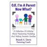 OK I'm a Parent Now What?: A Collection of Articles About Mentoring Modeling and Making Fantastic Families
