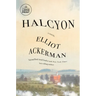 Halcyon