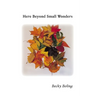 Here Beyond Small Wonders