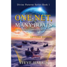 One Net, Many Boats - Revised Edition: Divine Patterns for the End Times Ekklesia