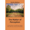 The Matter of Perception: A novel about manifesting a better life in the face of personal hardship