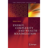Energy, Complexity and Wealth Maximization