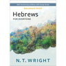 Hebrews for Everyone, Enlarged Print