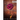 Love and Decay, Volume Two: Love and Decay, A Novella Series