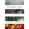 Friendly City: A Year of Walks