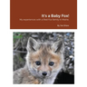 It's a Baby Fox!
