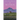 Within and Without