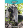 Anteaters