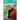 Red Pandas
