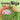 Listening Ninja: A Children's Book About Active Listening and Learning How to Listen