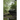 Down By the Creek - Ripples and Reflections