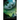 The Dead and the Gone