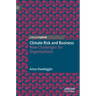 Climate Risk and Business: New Challenges for Organizations